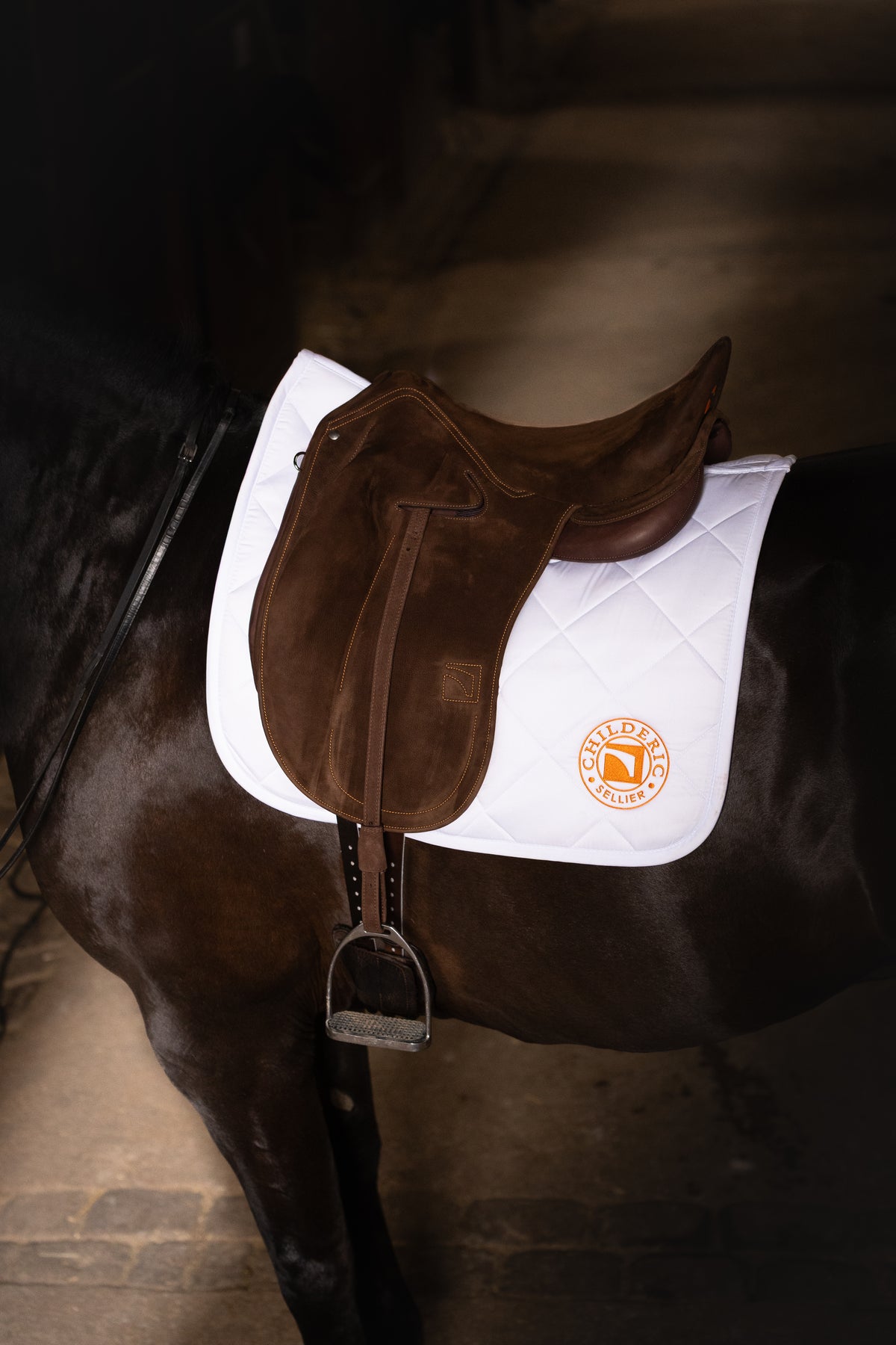 Dressage Saddle Pad