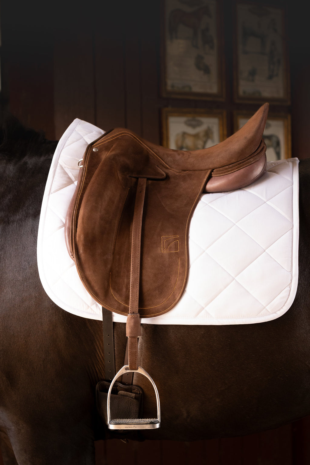 A brown leather horse saddle with a matching leather girth and silver metal bit, resting on a white quilted horse saddle pad over a dark brown horse. The background is a dimly lit indoor stable with framed pictures on a dark wooden wall.