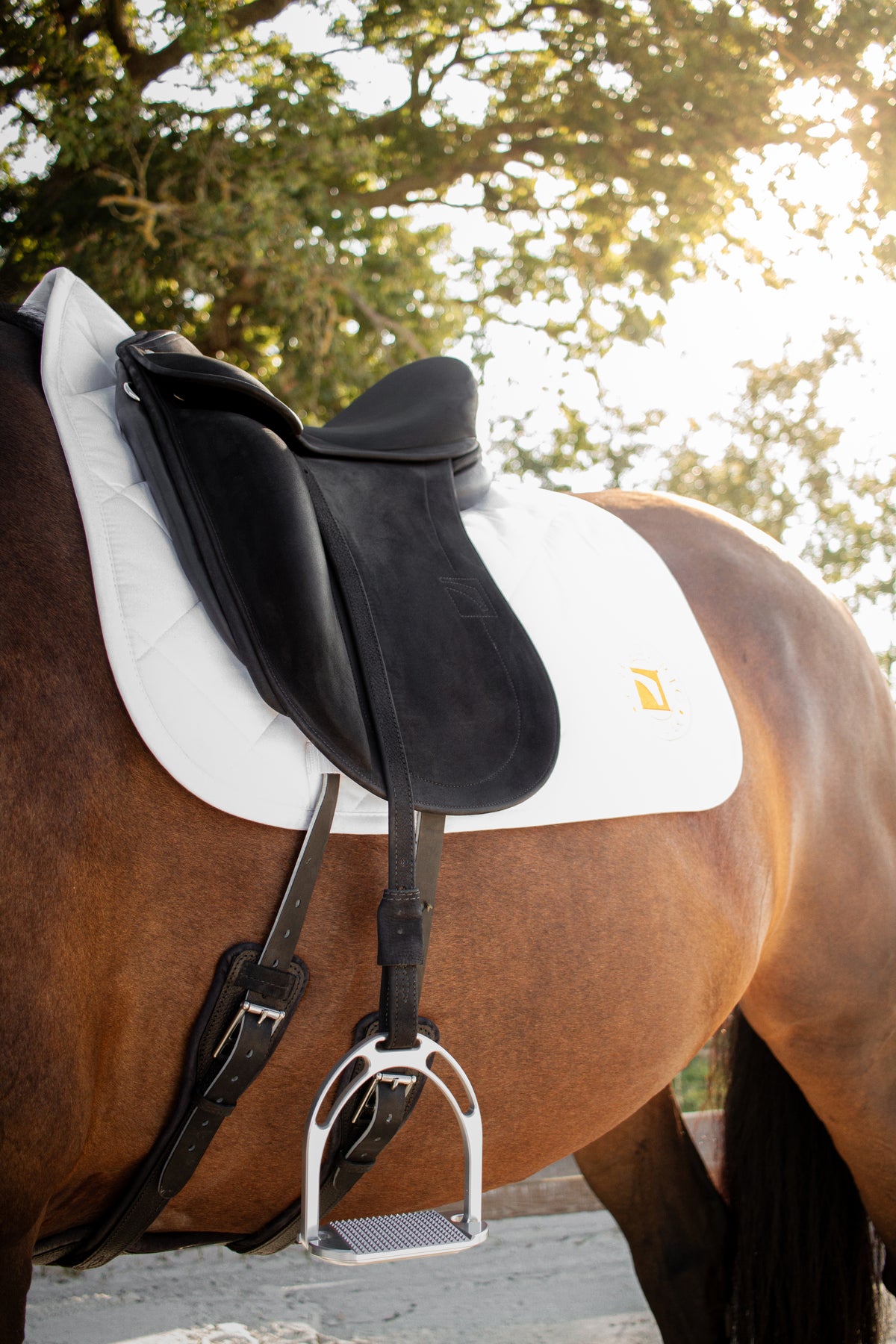 Dressage Saddle Pad