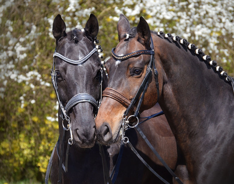 BRIDLES