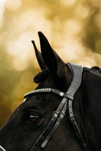 Black horse wearing the Lumiere Adeline bridle crafted from premium leather with white gel-padded noseband and luxury crystal broowband, perfect for dressage, jumping and eventing.