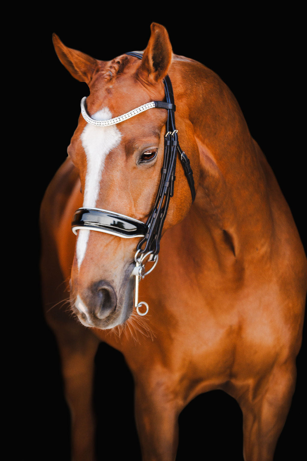 Chestnut horse wearing the Adeline Double Bridle crafted from black luxury leather, glossy black patent noseband gel-padded with white nappa leather - a three-row crystal browband — solitaire cut crystals framed by two rows of clear stones — against a black background