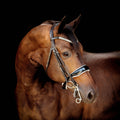 Brown horse wearing the Adeline Double Bridle crafted from black luxury leather, glossy black patent noseband gel-padded with white nappa leather - a three-row crystal browband — solitaire cut crystals framed by two rows of clear stones — against a black background