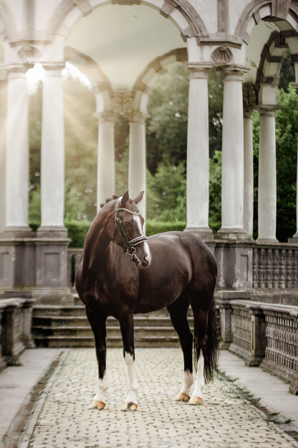 Brown horse wearing the Adeline Double Bridle standing in a classical architectural setting with columns and arches.