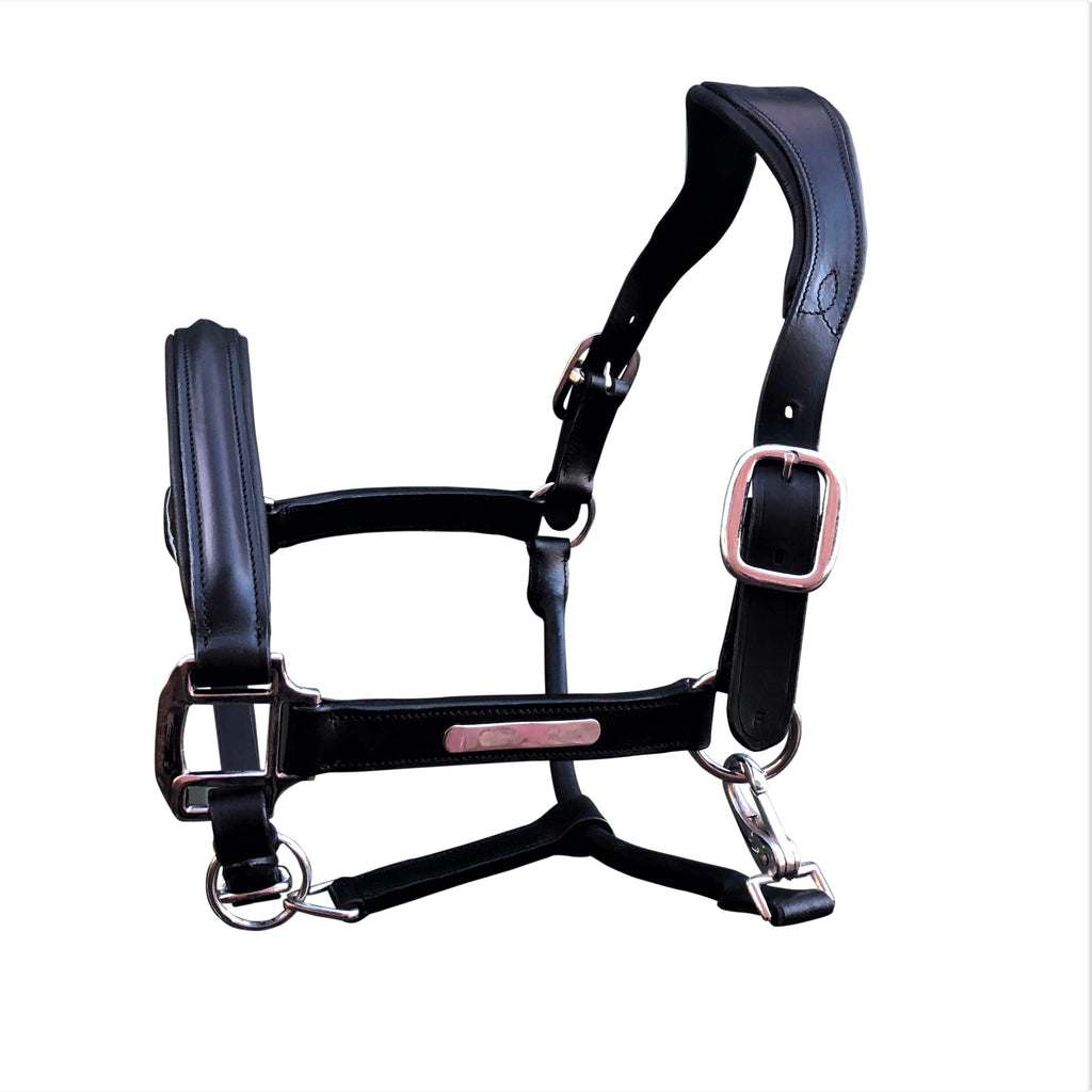 Alizé black leather halter – premium equestrian show halter