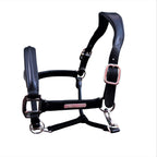 Alizé black leather halter – premium equestrian show halter