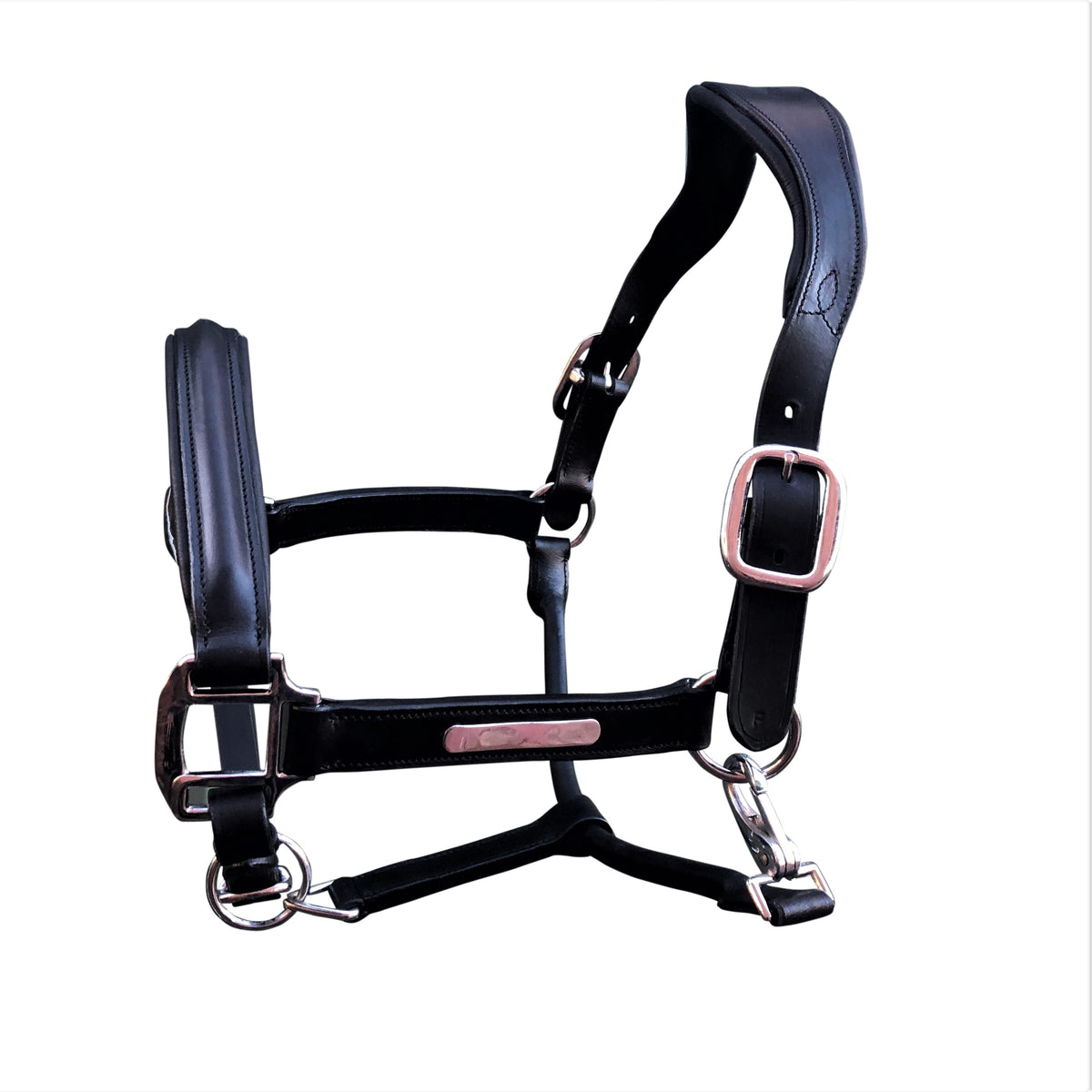 Alizé black leather halter – premium equestrian show halter
