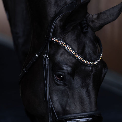A black horse wearing the Lumiere Ariana browband featuring a wide deep-drop crystal design — gold-toned Austrian stellux crystals framed by black crystals - Patent leather loops