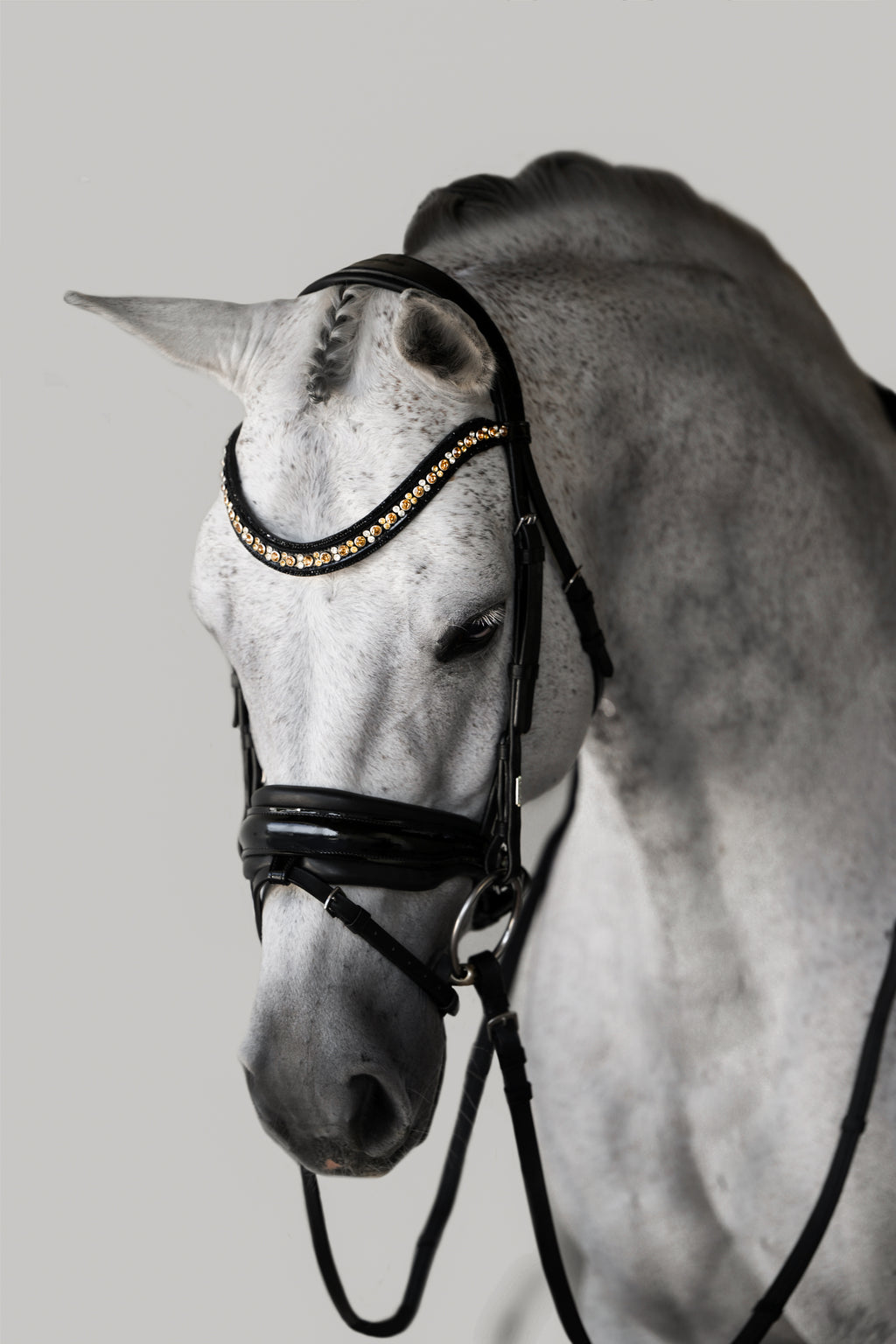 Image of a gray horse wearing the Lumiere Ariana snaffle bridle - Hanoverian variant