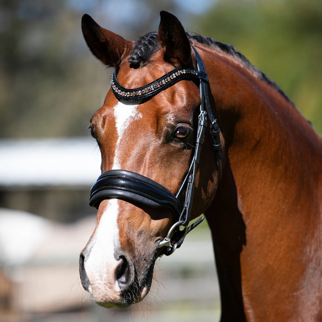 A close-up of a brown horse wearing the Lumiere Ariana snaffle bridle - cavesson variant, set against a blurred outdoor background.