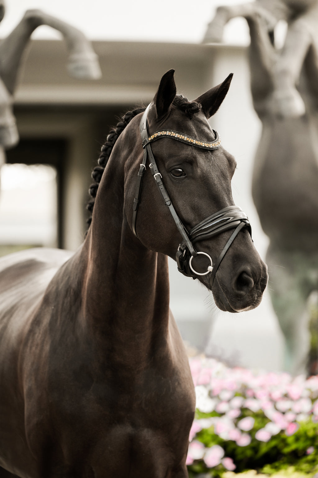 Image of a dark brown horse wearing the Lumiere Ariana snaffle bridle - Hanoverian variant