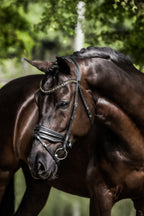 Image of a dark brown horse wearing the Lumiere Ariana snaffle bridle - Hanoverian variant