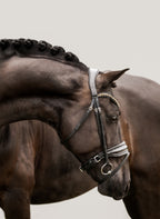 Image of a dark brown horse wearing the Lumiere Ariana snaffle bridle - Hanoverian variant
