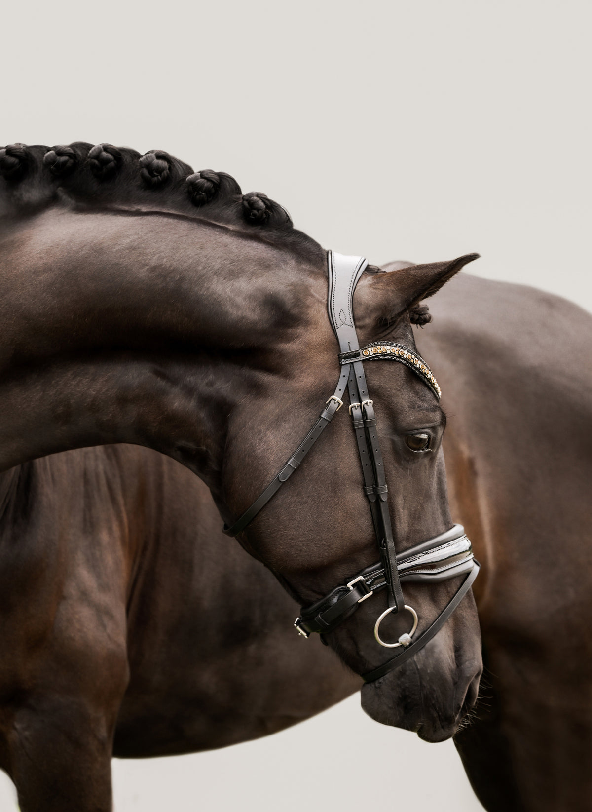 Image of a dark brown horse wearing the Lumiere Ariana snaffle bridle - Hanoverian variant