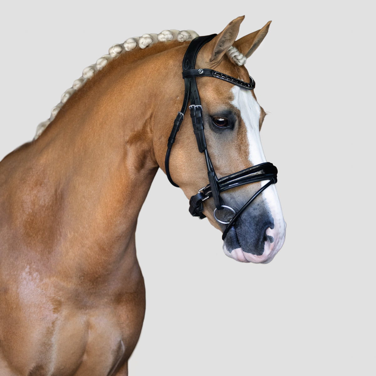 A close-up side profile of a palomino horse wearing the Lumiere Audrey bridle crafted from premium leather with deep-drop black solitaire crystal browband, gel-padded anatomic headpiece and gel-padded Hanoverian noseband set against a solid light gray background.