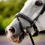 A close-up side profile of a white horse wearing the Lumiere Audrey bridle crafted from premium leather gel-padded Hanoverian noseband in blurred background.