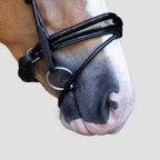 A close-up side profile of a palomino horse wearing the Lumiere Audrey bridle crafted from premium leather gel-padded Hanoverian noseband set against a solid light gray background.