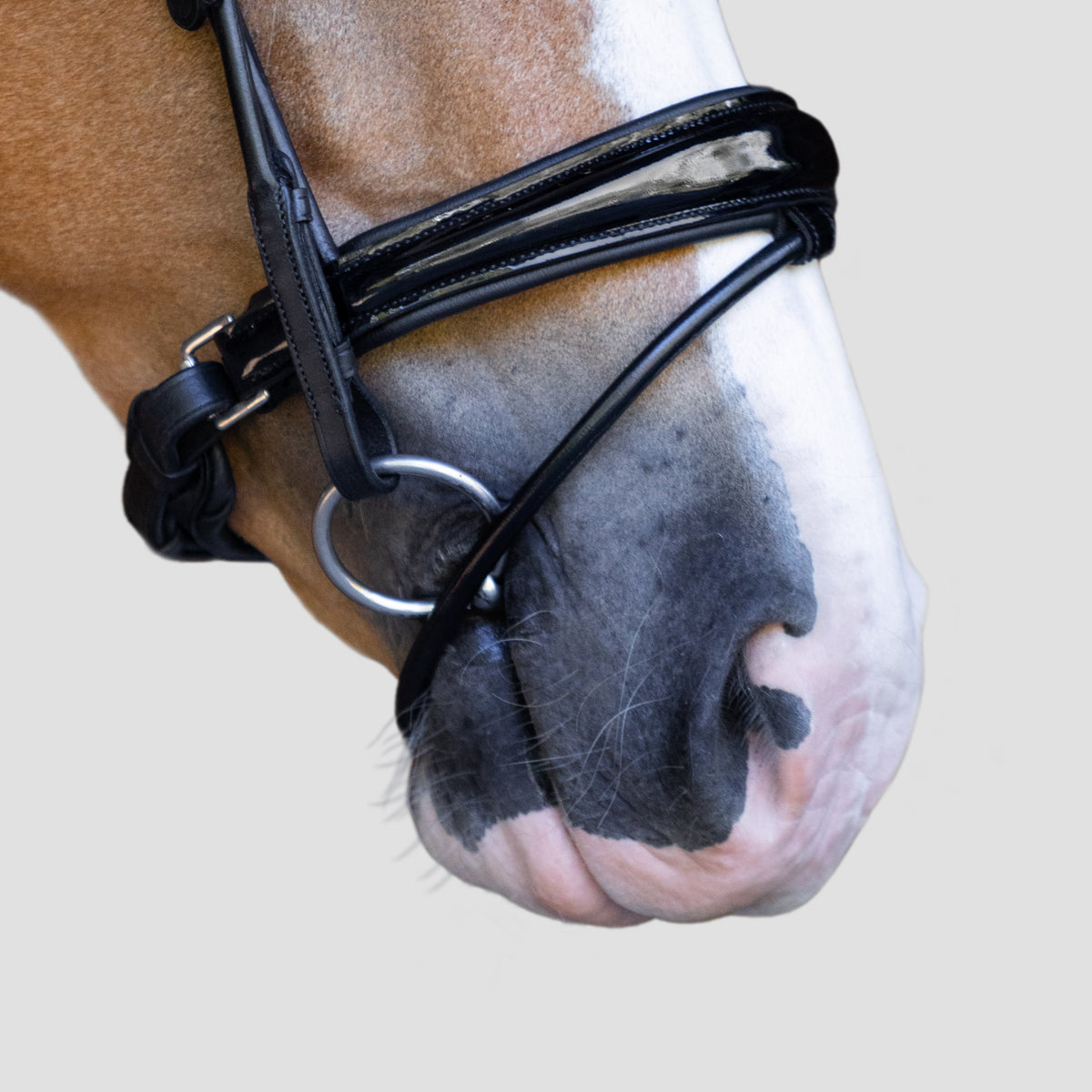 A close-up side profile of a palomino horse wearing the Lumiere Audrey bridle crafted from premium leather gel-padded Hanoverian noseband set against a solid light gray background.
