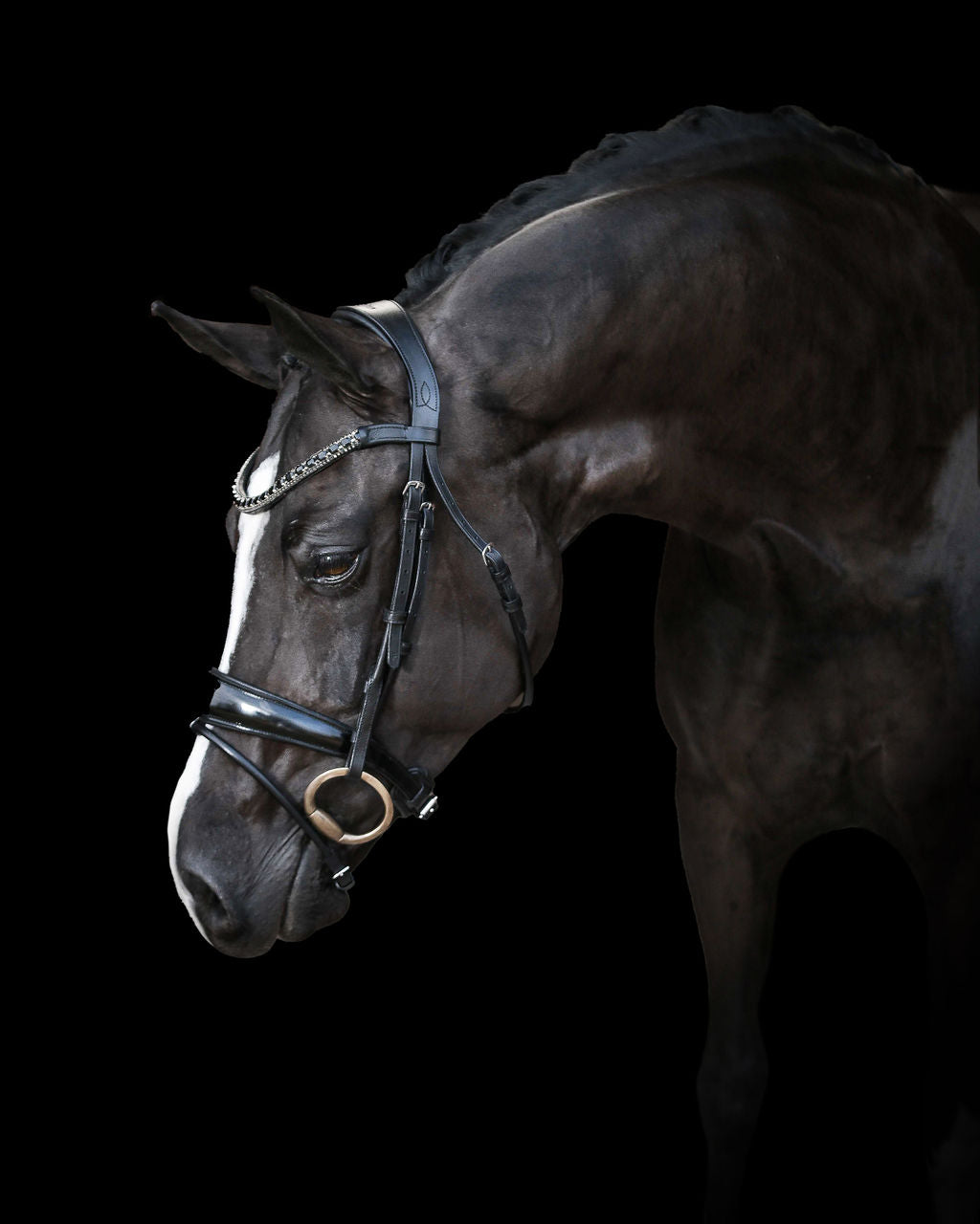 A close-up side profile of a horse wearing the Lumiere Audrey bridle crafted from premium leather with deep-drop black solitaire crystal browband, gel-padded anatomic headpiece and gel-padded Hanoverian noseband set against a black background.