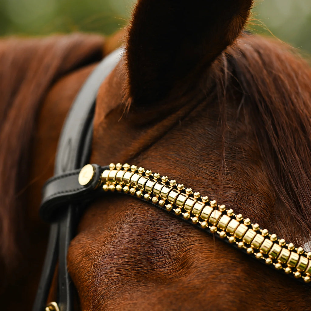 Close-up of a horse wearing the Lumiere Delta Broadband in gold with a blurred background
