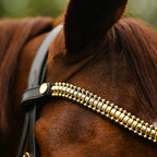Close-up of a horse wearing the Lumiere Delta Broadband in gold with a blurred background