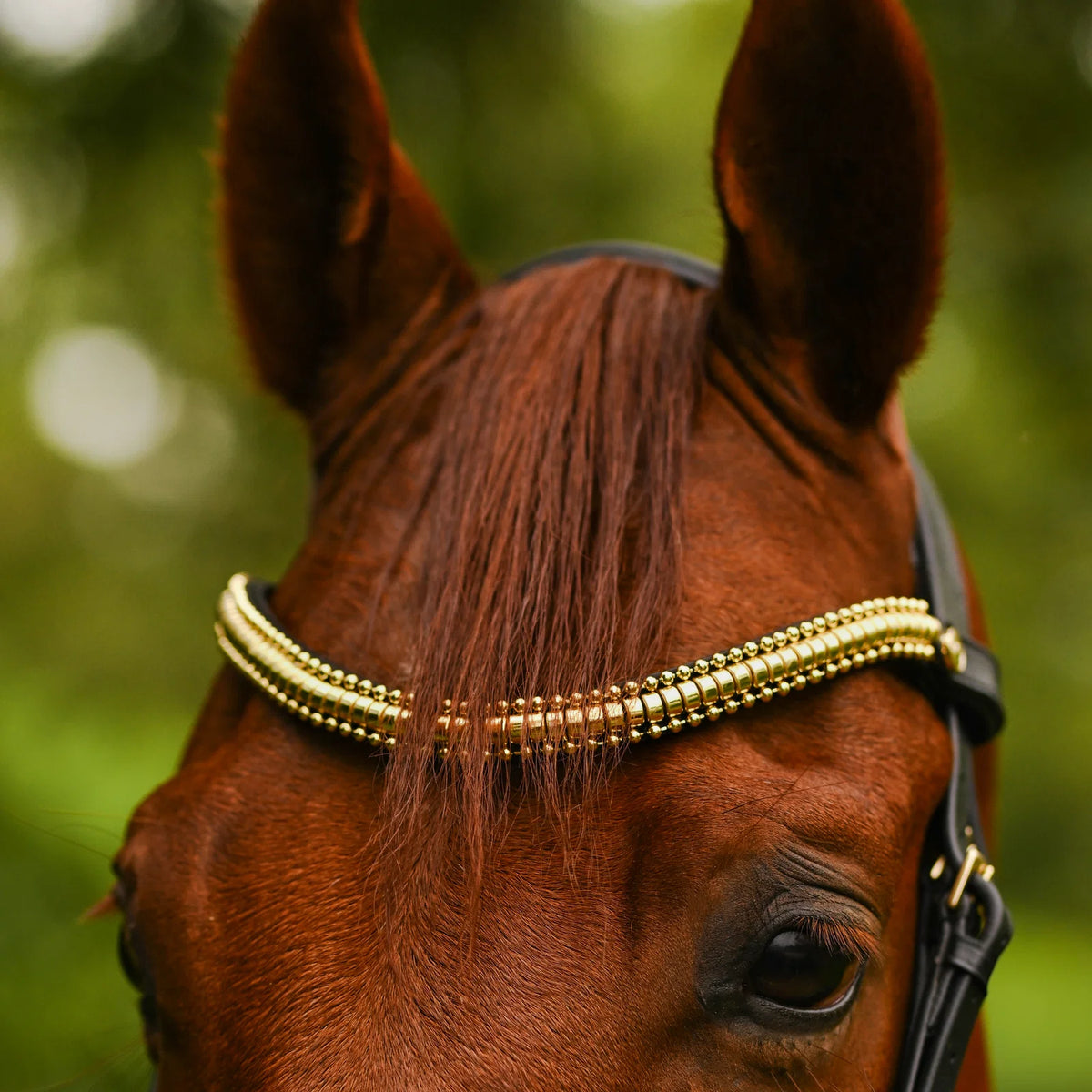 A close-up of a chestnut horse wearing the Lumiere Delta black leather snaffle browband in gold, set against a soft, blurred green background.