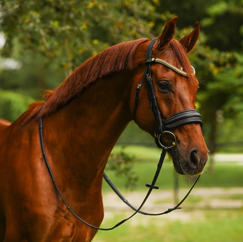 Chestnut horse wearing a Lumiere Delta snaffle bridle, cavesson version, in a green field