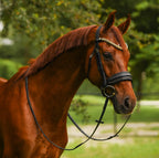 Chestnut horse wearing a Lumiere Delta snaffle bridle, cavesson version, in a green field
