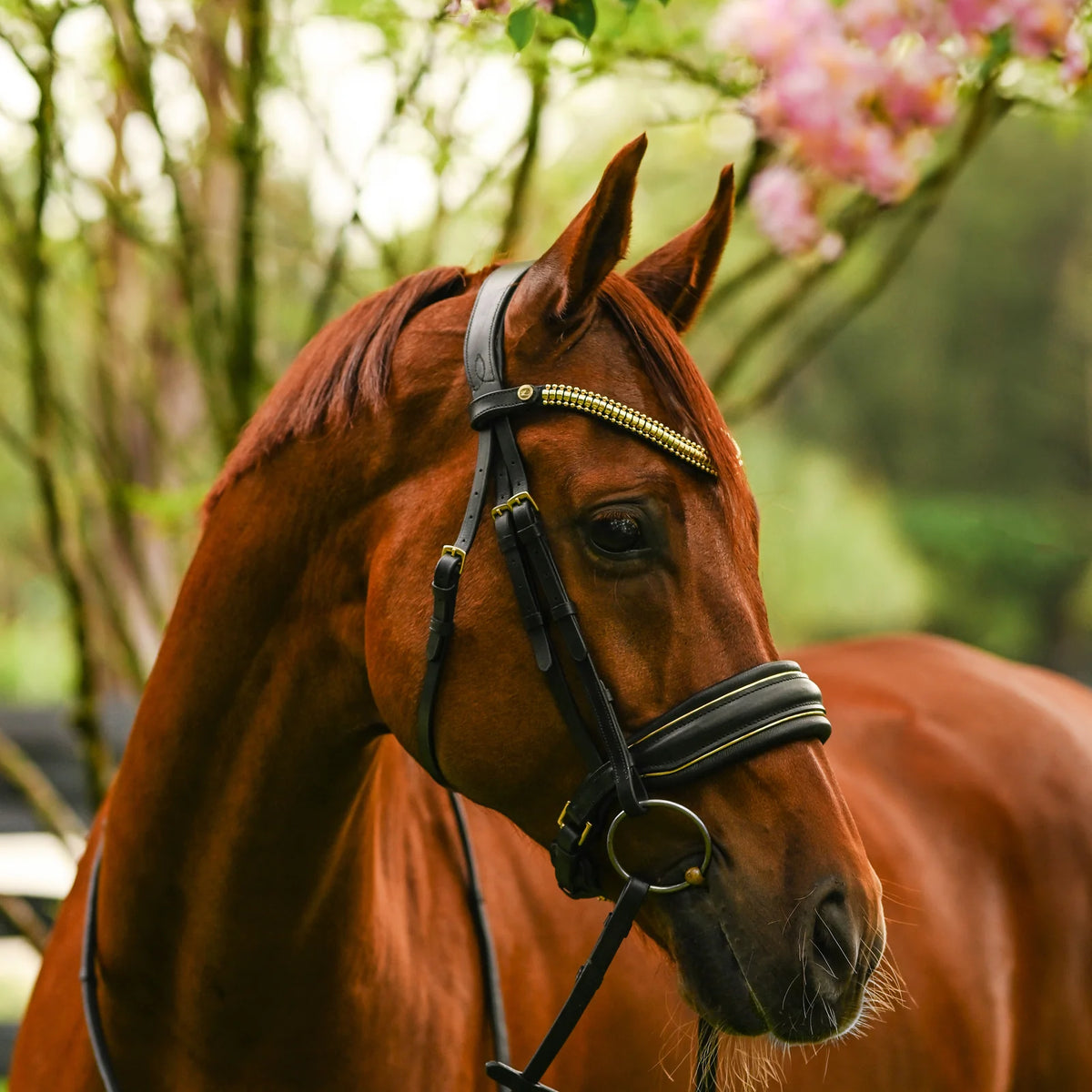 A close-up of a chestnut horse wearing a black leather Lumiere Delta snaffle bridle with gold accents, set against a soft-focus background of green foliage and pink blossoms.