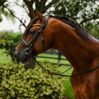 Brown horse with the Lumiere Delta snaffle bridle, cavesson variant, standing in a grassy field with trees in the background