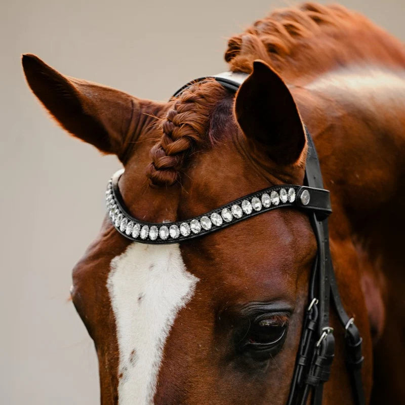 Lumiere Diva leather double bridle broadband closeup with clear crystal on a chestnut horse head