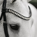 Lumiere Diva leather double bridle broadband clear crystal closeup view on a white horse head