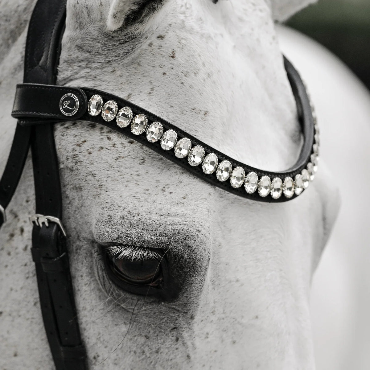 Lumiere Diva leather double bridle broadband clear crystal closeup view on a white horse head