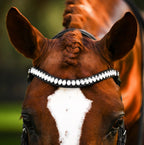 Lumiere Diva leather double bridle broadband closeup with clear crystal on a chestnut horse head