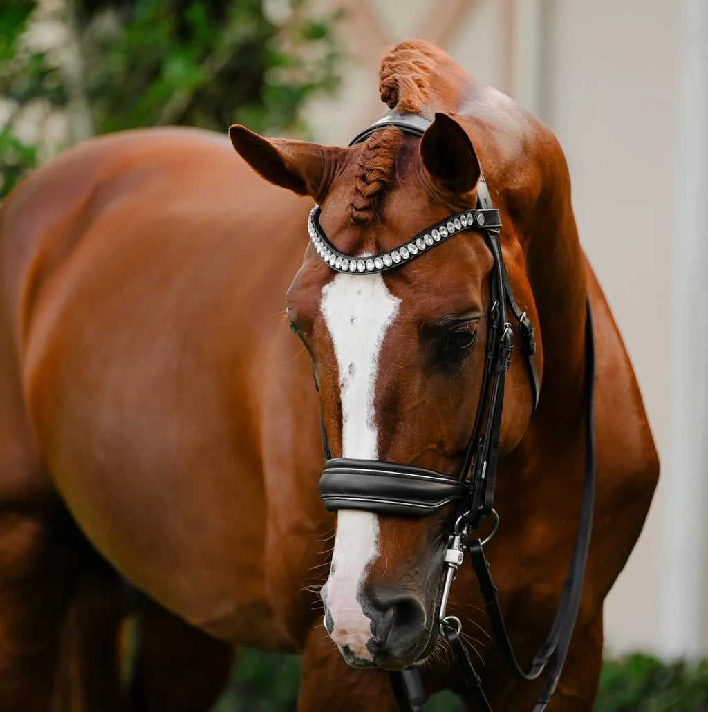 Lumiere Diva leather double bridle on a chestnut horse 