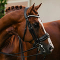 Lumiere Diva leather dressage double bridle on a chestnut horse head