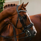 Lumiere Diva leather dressage double bridle on a chestnut horse head