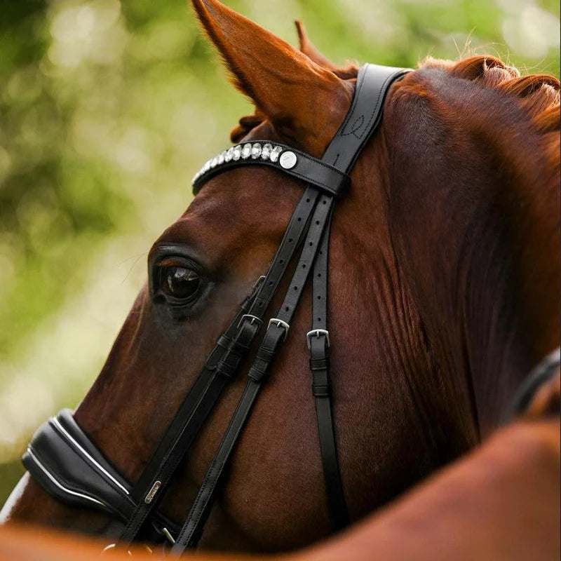 Lumiere Diva leather double bridle  with clear crystal browband on a chestnut horse head