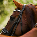 Lumiere Diva leather double bridle  with clear crystal browband on a chestnut horse head