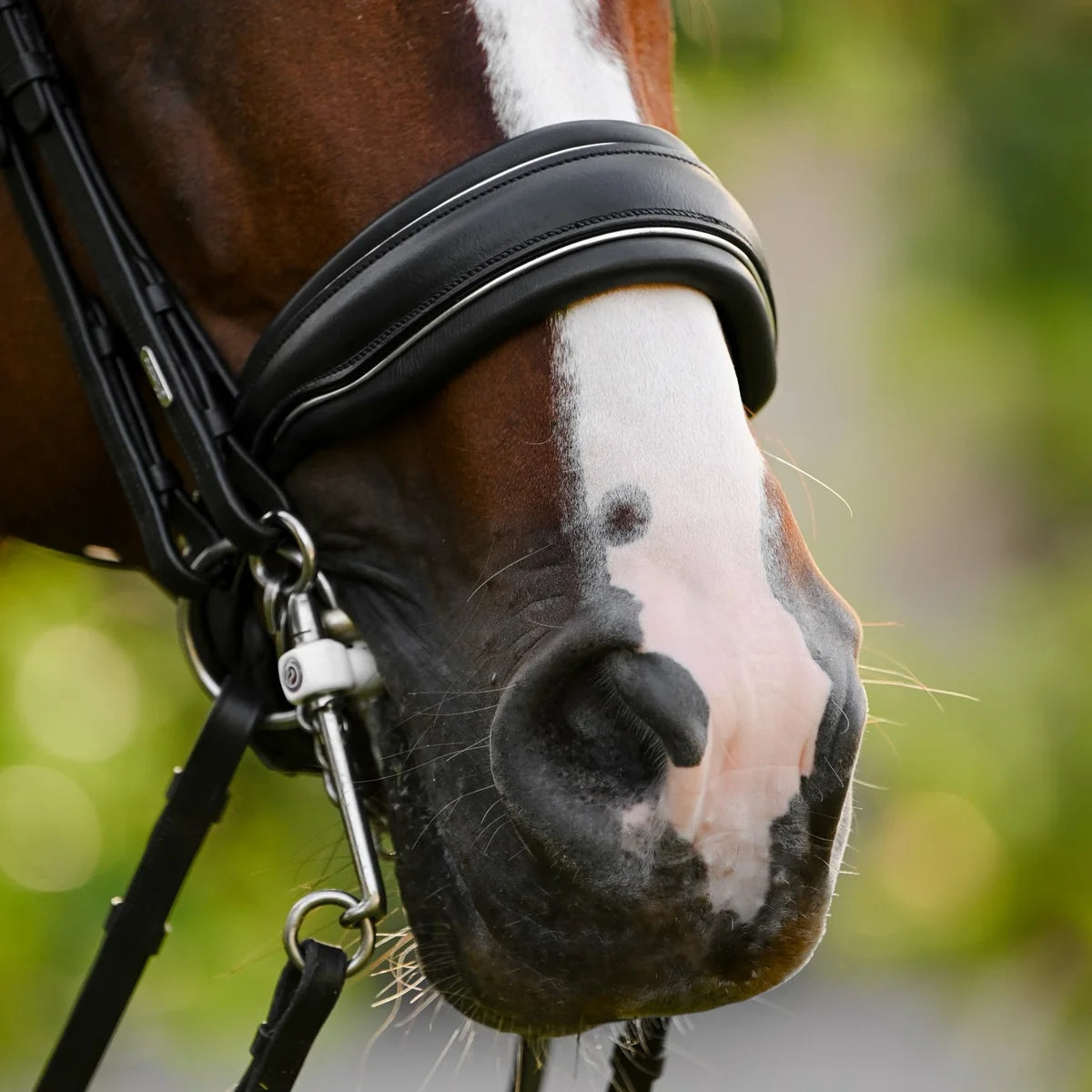 Lumiere Diva leather double bridle noseband with silver pipping on a chestnut horse head