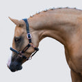 Horse wearing the Lumiere Hollywood halter crafted from luxurious gel-padded rose gold nappa leather with premium rose gold fittings on a plain background
