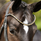 A horse horse head wearing The Lumiere Megan browband handcrafted from a two-toned blend of champagne and gold Austrian stellux crystals set upon a supple leather band, elegantly curved.
