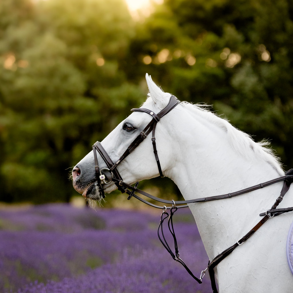 A white horse in profile wearing a black leather Lumiere Milan convertible snaffle bridle and reins, standing in a field of lavender with a blurred green forest background.