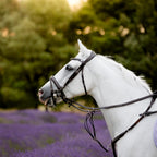 A white horse in profile wearing a black leather Lumiere Milan convertible snaffle bridle and reins, standing in a field of lavender with a blurred green forest background.