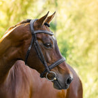 Brown horse wearing a Lumiere Milan convertible bridle with a blurred green background