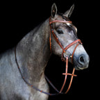 Gray horse wearing a Lumiere Milan convertible Havana leather snaffle bridle