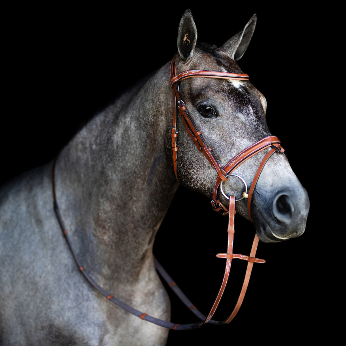 Gray horse wearing a Lumiere Milan convertible Havana leather snaffle bridle