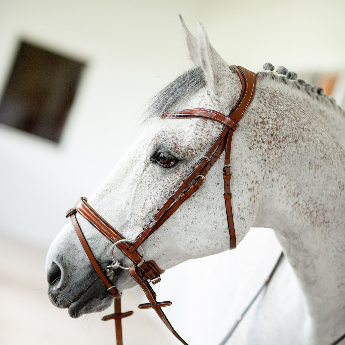 White horse wearing a Lumiere Milan convertible Havana leather snaffle bridle
