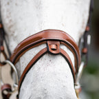 Close-up of a horse's head wearing the noseband of the Lumiere Milan convertible Havana leather bridle against a blurred outdoor background.