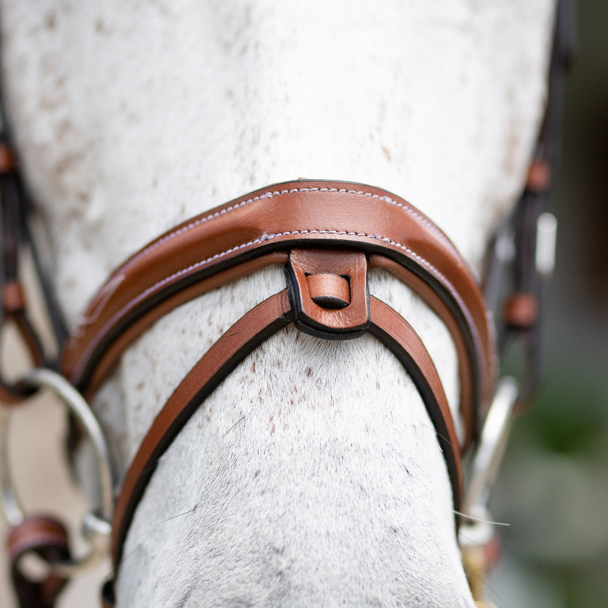 Close-up of a horse's head wearing the noseband of the Lumiere Milan convertible Havana leather bridle against a blurred outdoor background.